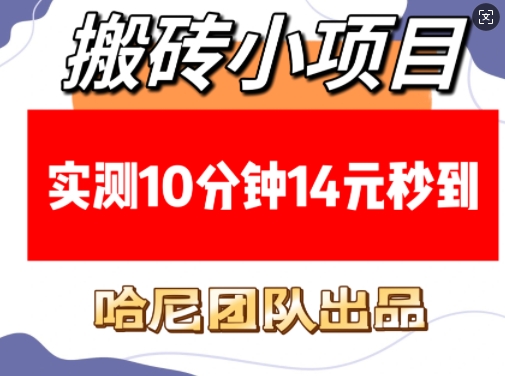 搬砖小项目，实测10分钟14元秒到，每天稳定几张(赠送必看稳定)-泱泱学习社