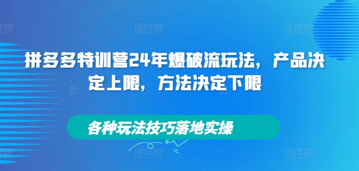 拼多多特训营24年爆破流玩法，产品决定上限，方法决定下限，各种玩法技巧落地实操-泱泱学习社