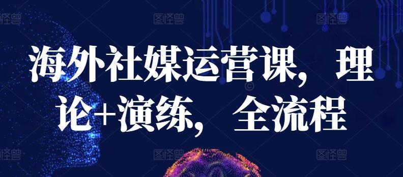 海外社媒运营课，理论+演练，全流程-泱泱学习社