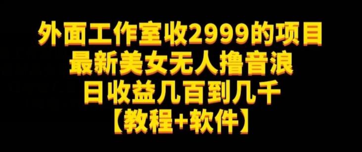 外面工作室收2999的项目最新美女无人撸音浪日收益几百到几千【教程+软件】（仅揭秘）-泱泱学习社
