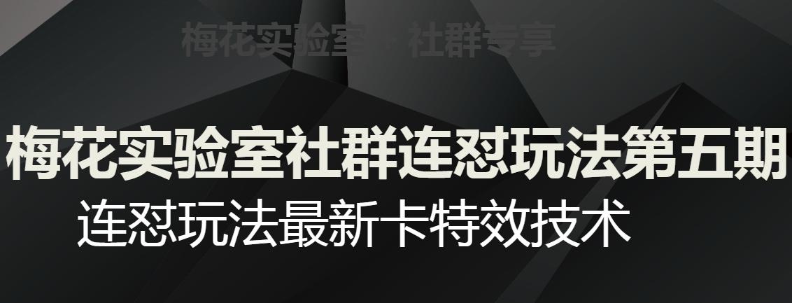 梅花实验室社群连怼玩法第五期，视频号连怼玩法最新卡特效技术-泱泱学习社