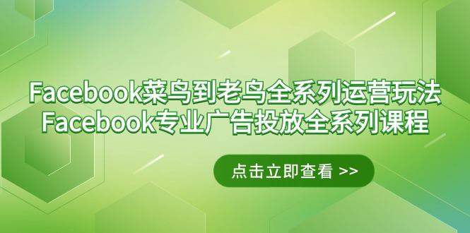 Facebook-菜鸟到老鸟全系列运营玩法+Facebook-专业广告投放全系列课程-泱泱学习社
