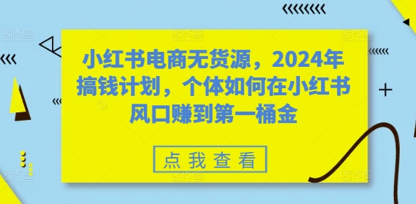 小红书电商无货源，2024年搞钱计划，个体如何在小红书风口赚到第一桶金-泱泱学习社