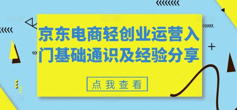 京东电商轻创业运营入门基础通识及经验分享-泱泱学习社
