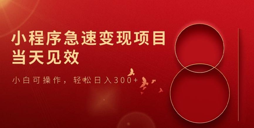 小程序急速变现项目，当天见效，小白可操作，轻松日入300+-泱泱学习社
