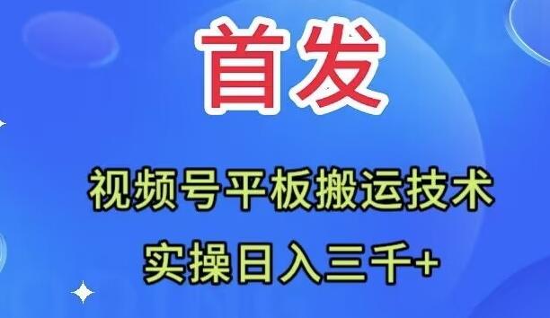 全网首发：视频号平板搬运技术，实操日入三千＋-泱泱学习社