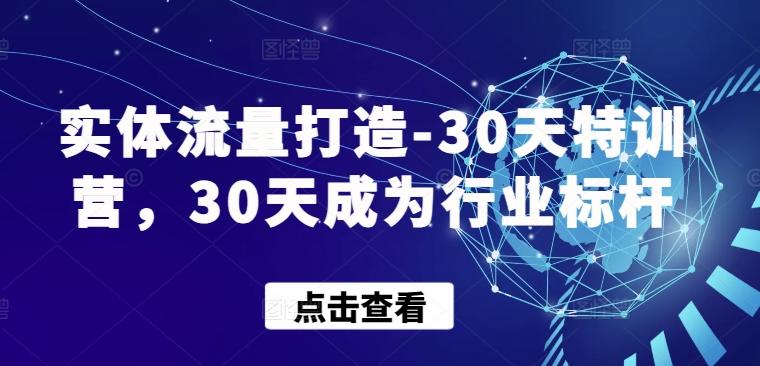 实体流量打造-30天特训营，30天成为行业标杆-泱泱学习社