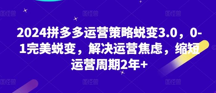 2024拼多多运营策略蜕变3.0，0-1完美蜕变，解决运营焦虑，缩短运营周期2年+-泱泱学习社