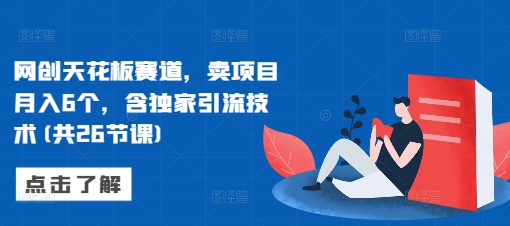 网创天花板赛道，卖项目月入6个，含独家引流技术(共26节课)-泱泱学习社