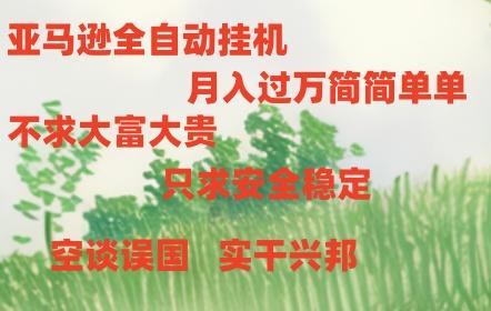亚马逊全自动浏览挂机-泱泱学习社