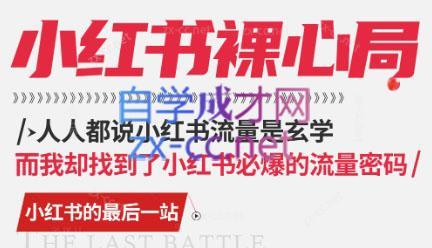 月月老师·小红书低粉高变现课-泱泱学习社