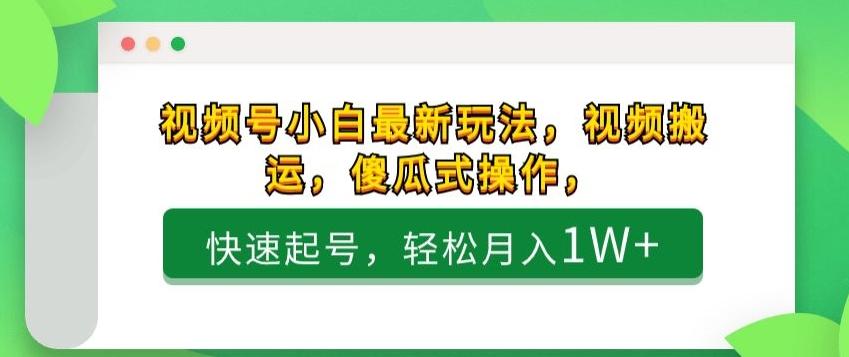 视频号小白最新玩法，视频搬运，傻瓜式操作，快速起号，轻松月入1W+-泱泱学习社