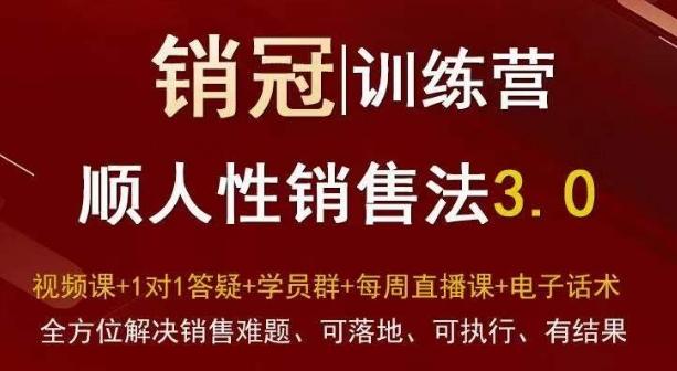 爆款！销冠训练营3.0之顺人性销售法，全方位解决销售难题、可落地、可执行、有结果-泱泱学习社