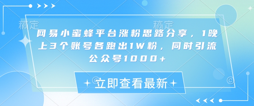 网易小蜜蜂平台涨粉思路分享，1晚上3个账号各跑出1W粉，同时引流公众号1000+-泱泱学习社