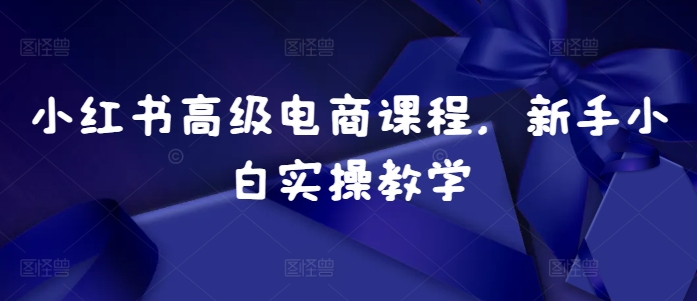小红书高级电商课程，新手小白实操教学-泱泱学习社