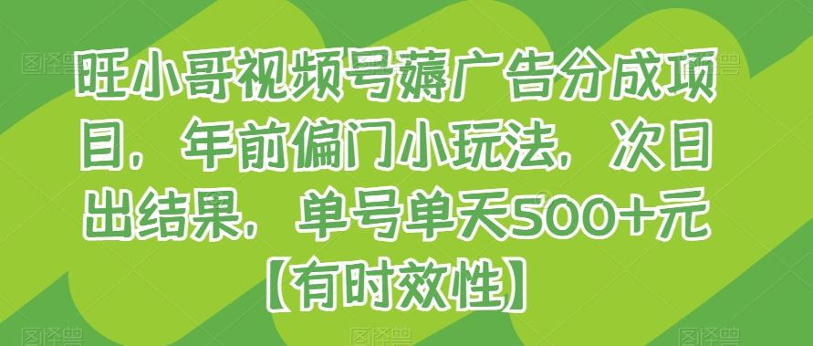 旺小哥视频号薅广告分成项目，年前偏门小玩法，次日出结果，单号单天500+元【有时效性】-泱泱学习社