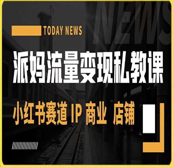派妈流量变现私教课，小红书赛道IP  商业  店铺 -泱泱学习社