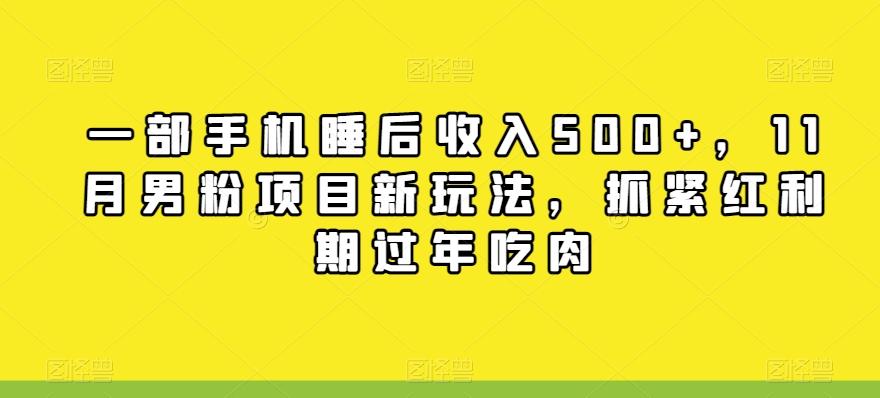 一部手机睡后收入500+，11月男粉项目新玩法，抓紧红利期过年吃肉-泱泱学习社