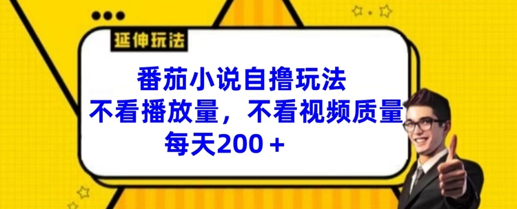 番茄小说自撸玩法，不看播放量，不看视频质量，每天200+【揭秘】-泱泱学习社