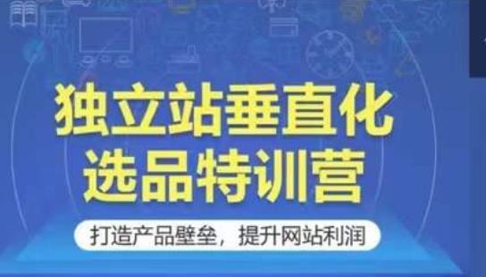 独立站垂直化选品特训营，打造产品壁垒，提升网站利润-泱泱学习社