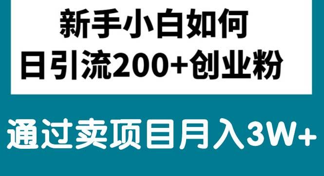 新手小白日引流200+创业粉,通过卖项目月入3W+-泱泱学习社