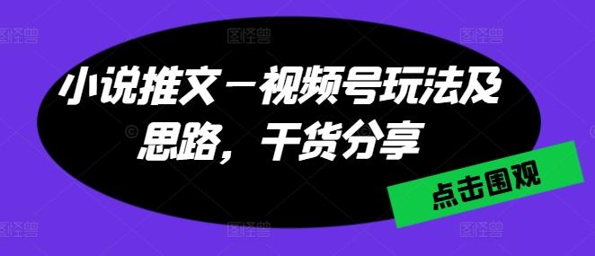 小说推文—视频号玩法及思路，干货分享-泱泱学习社