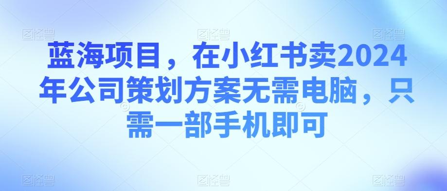 蓝海项目，在小红书卖2024年公司策划方案无需电脑，只需一部手机即可-泱泱学习社