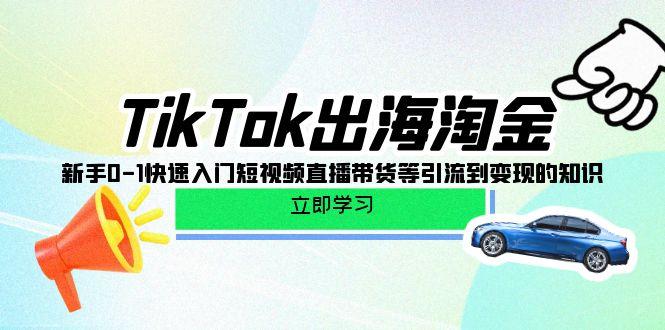 (10035期)TikTok-出海淘金，新手0-1快速入门短视频直播带货等引流到变现的知识-泱泱学习社