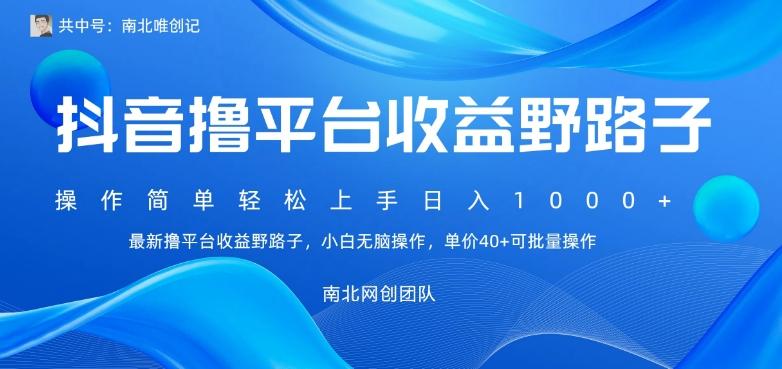最新撸抖音平台收益野路子，操作简单，单价高，小白可无脑操作可日入1000+-泱泱学习社
