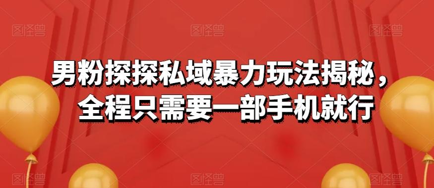 男粉探探私域暴力玩法揭秘，全程只需要一部手机就行-泱泱学习社