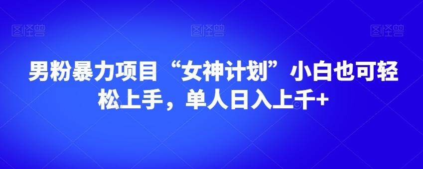 男粉暴力项目“女神计划”小白也可轻松上手，单人日入上千+【揭秘】-泱泱学习社