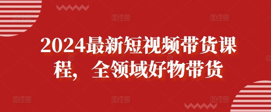 2024最新短视频带货课程，全领域好物带货-泱泱学习社