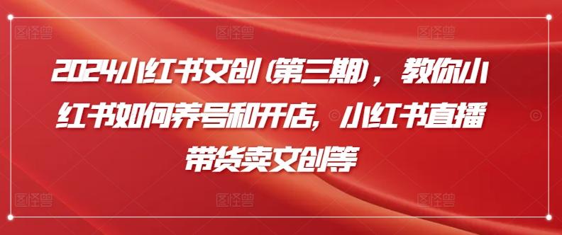 2024小红书文创(第三期)，教你小红书如何养号和开店，小红书直播带货卖文创等-泱泱学习社