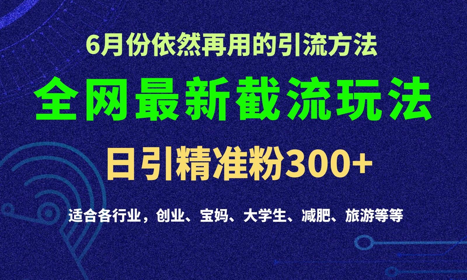 2024全网最新截留玩法，每日引流突破300+-泱泱学习社