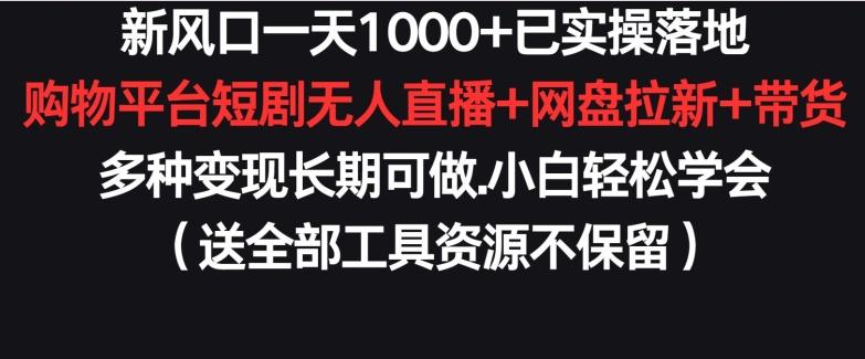 新风口一天1000+已实操落地购物平台短剧无人直播+网盘拉新+带货多种变现长期可做【揭秘】-泱泱学习社