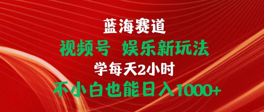 蓝海赛道视频号 娱乐新玩法每天2小时小白也能日入1000+-泱泱学习社