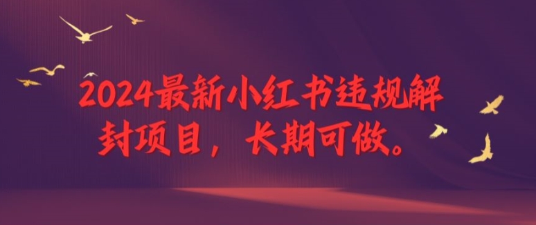 2024最新小红书违规解封项目，长期可做，一个可以做到退休的项目【揭秘】-泱泱学习社