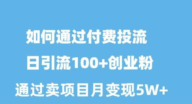 如何通过付费投流日引流100+创业粉月变现5W+-泱泱学习社