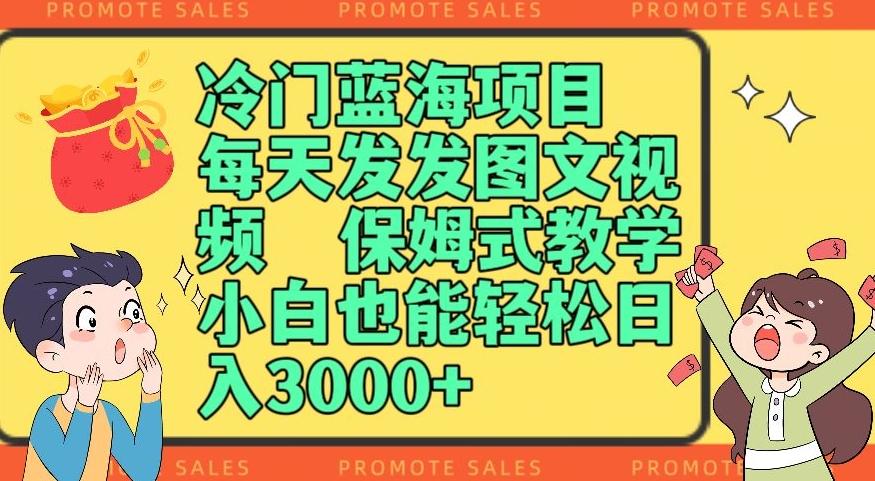 冷门蓝海项目，每天发发图文视频，保姆式教学，小白也能轻松日入3000+-泱泱学习社