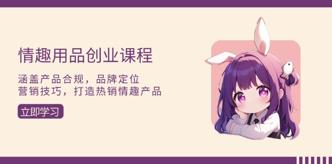 情趣用品创业课程：涵盖产品合规，品牌定位，营销技巧，打造热销情趣产品-泱泱学习社