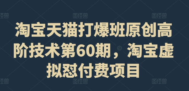 淘宝天猫打爆班原创高阶技术第60期，淘宝虚拟怼付费项目-泱泱学习社
