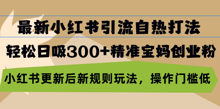 最新小红书引流自热打法，轻松日吸300+精准宝妈创业粉，小红书更新后新…-泱泱学习社