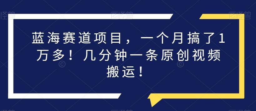 蓝海赛道项目，一个月搞了1万多！几分钟一条原创视频搬运！-泱泱学习社