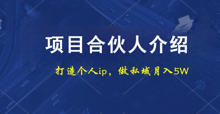 项目合伙人项目，打造个人IP，做私域月入5W，小白勿扰-泱泱学习社