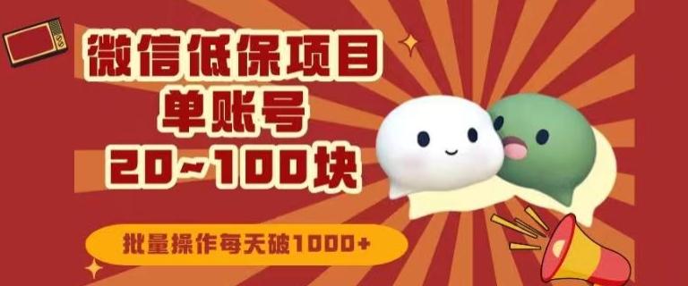 微信领低保单账号20元-100元，批量操作每天破1000+-泱泱学习社
