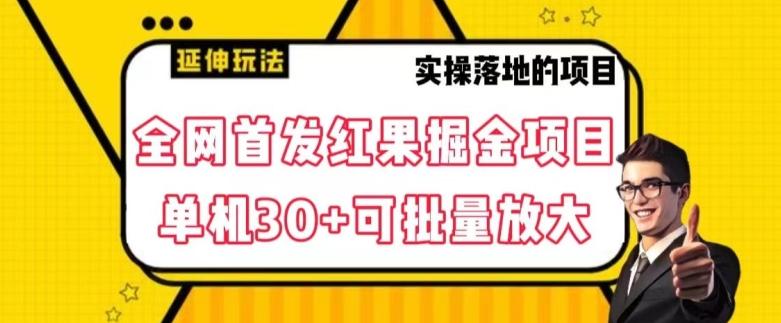 全网首发红果免费短剧掘金项目，单机30+可批量放大【揭秘】-泱泱学习社