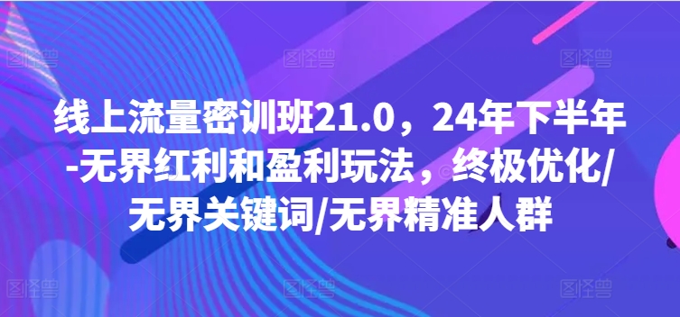 线上流量密训班21.0，24年下半年-无界红利和盈利玩法，终极优化/无界关键词/无界精准人群-泱泱学习社