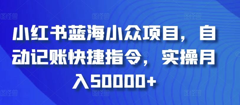小红书蓝海小众项目，自动记账快捷指令，实操月入50000+【揭秘】-泱泱学习社