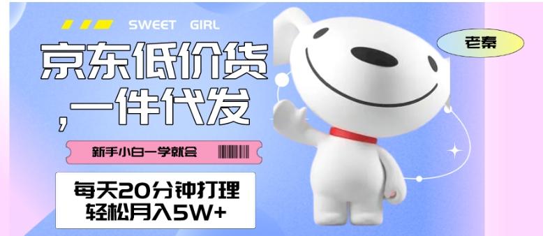 每天20分钟打理京东低价货，一件代发-轻松月入5W＋-泱泱学习社