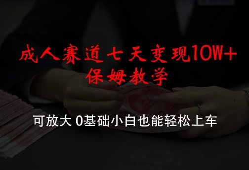 成人赛道七天变现10W+保姆教学，可放大，0基础小白也能轻松上车【揭秘】-泱泱学习社